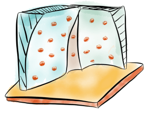 climbing-wall-default