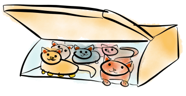 cat-cafe-overhead-bin-with-cats