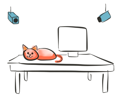 cat-virtual-home