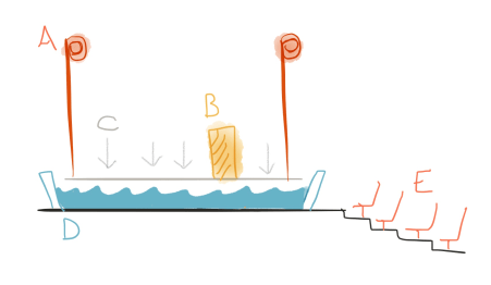 shark-lecture-diagram