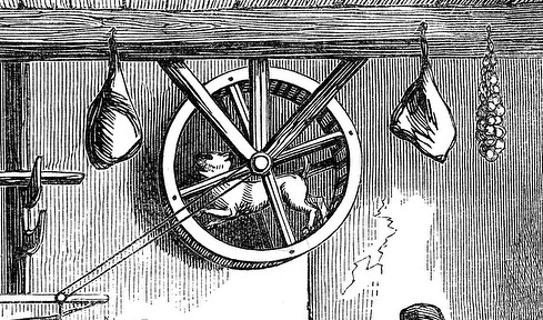 turnspit-dog-ancient-times