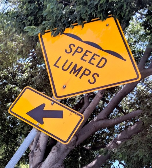 speed-lumps-0-small.jpg