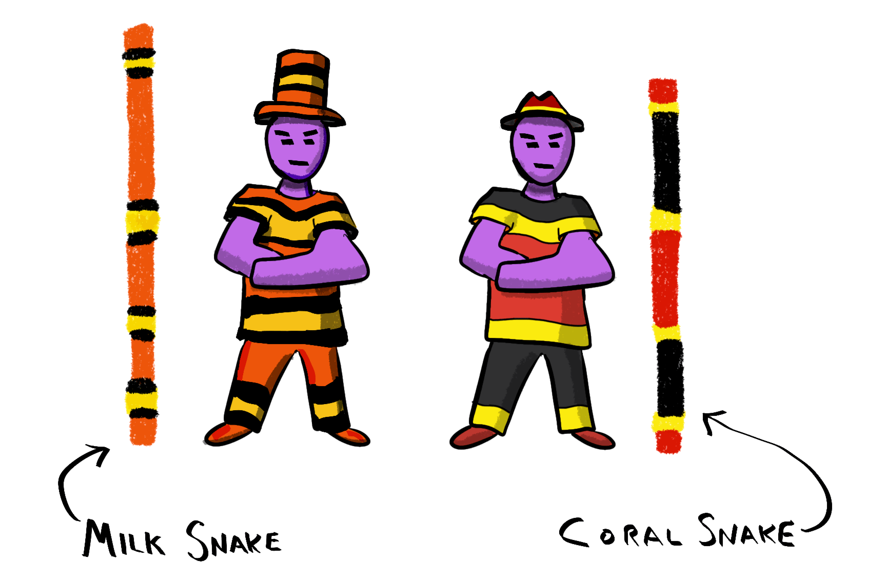 1-snake-gang-colors-annotated.png