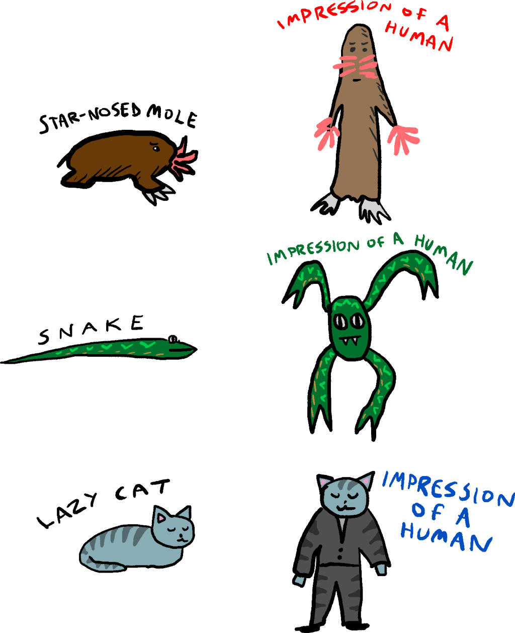 Does your cat just think of you as a gigantic cat? Maybe. But what do other animals think?! Let’s interview this star-nosed mole to find&nbsp;out.